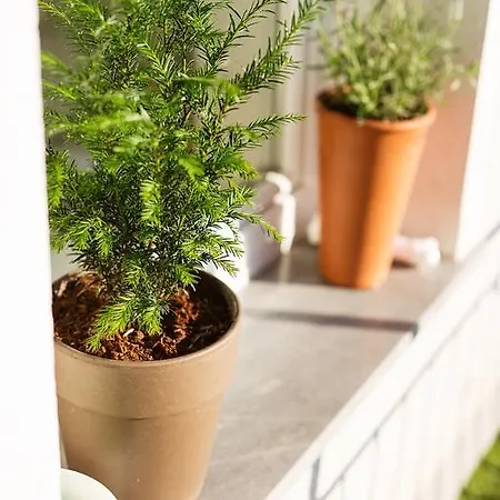 Apartman Garden Ljubljana